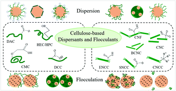 Graphical abstract: Cellulose-based dispersants and flocculants