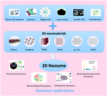 Graphical abstract: Biomimetic two-dimensional nanozymes: synthesis, hybridization, functional tailoring, and biosensor applications
