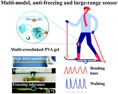 Graphical abstract: A multi-model, large range and anti-freezing sensor based on a multi-crosslinked poly(vinyl alcohol) hydrogel for human-motion monitoring