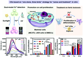 Graphical abstract: Fabrication of multi-functional carbon dots based on “one stone, three birds” strategy and their applications for the dual-mode Fe3+ detection, effective promotion on cell proliferation and treatment on ferric toxicosis in vitro