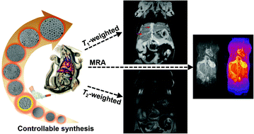 Graphical abstract: Controllable synthesis of exceptionally small-sized superparamagnetic magnetite nanoparticles for ultrasensitive MR imaging and angiography