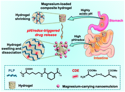 Graphical abstract: A pH/redox-dual responsive, nanoemulsion-embedded hydrogel for efficient oral delivery and controlled intestinal release of magnesium ions