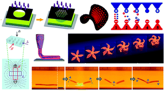Graphical abstract: Recent progress on hydrogel actuators