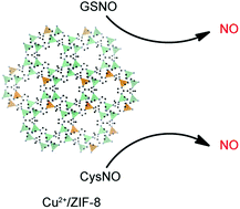Graphical abstract: Copper-doped metal–organic frameworks for the controlled generation of nitric oxide from endogenous S-nitrosothiols