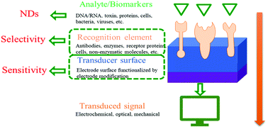 Graphical abstract: Recent advances in enzymeless-based electrochemical sensors to diagnose neurodegenerative diseases