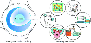 Graphical abstract: Nanozymes go oral: nanocatalytic medicine facilitates dental health