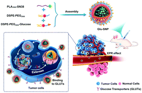 Graphical abstract: “Sweet tooth”-oriented SN38 prodrug delivery nanoplatform for targeted gastric cancer therapy