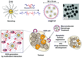 Graphical abstract: Drug resistance-free cytotoxic nanodrugs in composites for cancer therapy