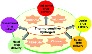 Graphical abstract: Recent advances in thermo-sensitive hydrogels for drug delivery