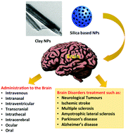 Graphical abstract: Recent advances in the design of inorganic and nano-clay particles for the treatment of brain disorders
