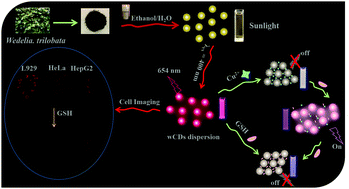 Graphical abstract: Biomass carbon dots derived from Wedelia trilobata for the direct detection of glutathione and their imaging application in living cells