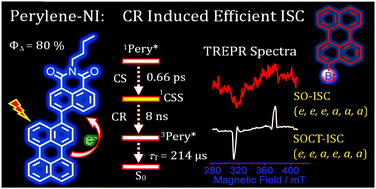 Graphical abstract: Intersystem crossing via charge recombination in a perylene–naphthalimide compact electron donor/acceptor dyad