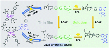 Graphical abstract: Photochromic fluorescence switching in liquid crystalline polynorbornenes with α-cyanostilbene side-chains
