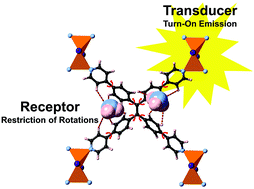 Graphical abstract: Luminescence turn-on detection by an entanglement-protected MOF operating via a divided receptor–transducer protocol