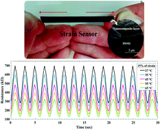 Graphical abstract: Highly stretchable and sensitive strain sensors based on carbon nanotube–elastomer nanocomposites: the effect of environmental factors on strain sensing performance