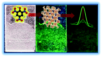 Graphical abstract: A lanthanide MOF immobilized in PMMA transparent films as a selective fluorescence sensor for nitroaromatic explosive vapours