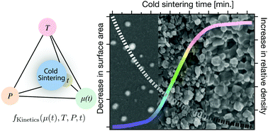 Graphical abstract: Anisothermal densification kinetics of the cold sintering process below 150 °C