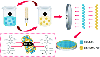 Graphical abstract: A novel hybrid organic–inorganic silsesquioxane and cobalt(ii) tetrasulphophthalocyanine material as an efficient electrochemical sensor for the simultaneous determination of the anti-hypertensive nifedipine and its metabolite