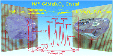 Graphical abstract: Enhanced growth of Nd3+:MgGdB5O10 laser crystals with intense multi-wavelength emission characteristics
