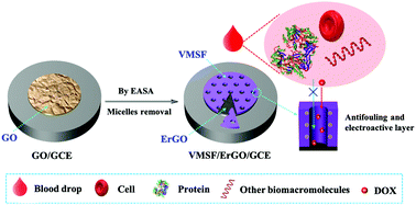 Graphical abstract: Fast one-step fabrication of a vertically-ordered mesoporous silica-nanochannel film on graphene for direct and sensitive detection of doxorubicin in human whole blood