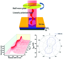 Graphical abstract: Non-layered ZnSb nanoplates for room temperature infrared polarized photodetectors