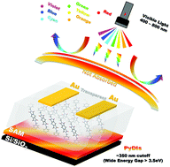 Graphical abstract: Wide band gap pyromellitic diimides for photo stable n-channel thin film transistors