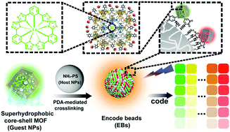 Graphical abstract: Core–shell metal–organic frameworks and hierarchical host–guest structures toward water-stable luminescence of lanthanide complexes in encoding beads