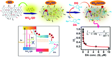 Graphical abstract: Quantitative understanding of the ultra-sensitive and selective detection of dopamine using a graphene oxide/WS2 quantum dot hybrid