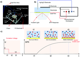Graphical abstract: Surface plasmon resonance imaging of the heterogeneous electric double-layer distribution and its change dynamics