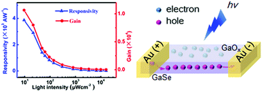 Graphical abstract: Controlled synthesis of GaSe microbelts for high-gain photodetectors induced by the electron trapping effect