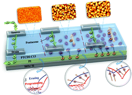 Graphical abstract: Memory characteristics of organic field-effect memory transistors modulated by nano-p–n junctions