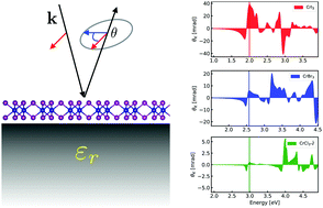 Graphical abstract: Magneto-optical response of chromium trihalide monolayers: chemical trends