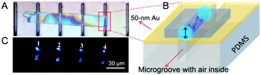 Graphical abstract: Control of molecular packing toward a lateral microresonator for microlaser array