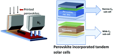 Graphical abstract: Solution processed perovskite incorporated tandem photovoltaics: developments, manufacturing, and challenges