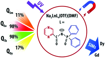 Graphical abstract: Lanthanide complexes with N-phosphorylated carboxamide as UV converters with excellent emission quantum yield and single-ion magnet behavior
