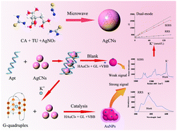 Graphical abstract: Strong catalysis of silver-doped carbon nitride nanoparticles and their application to aptamer SERS and RRS coupled dual-mode detection of ultra-trace K+