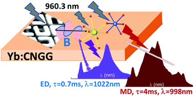 Graphical abstract: A probe of the radiation field magnetic component based on octahedral Yb3+ in the CaNbGa garnet – CNGG – single crystal