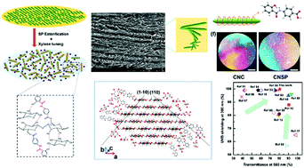 Graphical abstract: Tuning the cellulose nanocrystal alignments for supramolecular assembly of chiral nematic films with highly efficient UVB shielding capability
