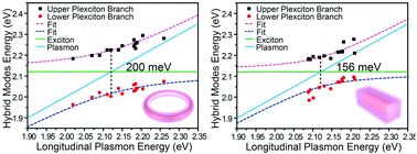 Graphical abstract: Strong plasmon–exciton coupling in bimetallic nanorings and nanocuboids