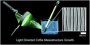 Graphical abstract: Optically tunable mesoscale CdSe morphologies via inorganic phototropic growth