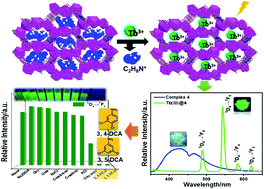 Graphical abstract: Zn(ii)/Cd(ii)-based metal–organic frameworks: crystal structures, Ln(iii)-functionalized luminescence and chemical sensing of dichloroaniline as a pesticide biomarker