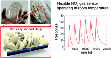 Graphical abstract: Highly sensitive flexible NO2 sensor composed of vertically aligned 2D SnS2 operating at room temperature