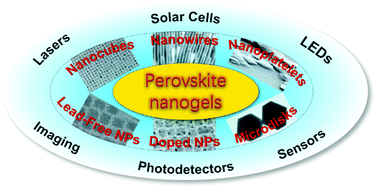 Graphical abstract: Perovskite nanogels: synthesis, properties, and applications