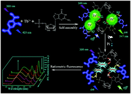 Graphical abstract: A lanthanide coordination polymer as a ratiometric fluorescent probe for rapid and visual sensing of phosphate based on the target-triggered competitive effect