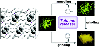 Graphical abstract: Mechanical and thermal stimuli-induced release of toluene included in luminescent crystals as one-dimensional solvent channels