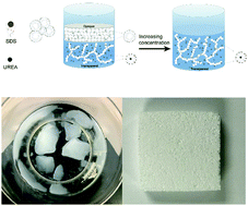 Graphical abstract: A macromolecular assembly directed ceramic aerogel monolith material