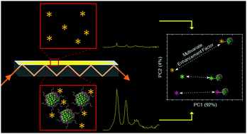 Graphical abstract: Surface-enhanced infrared absorption spectroscopy using silver selenide quantum dots