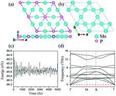 Graphical abstract: Noncollinear frustrated antiferromagnetic Mn3P monolayer and its tunability via a spin degree of freedom