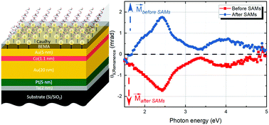 Graphical abstract: Control of magneto-optical properties of cobalt-layers by adsorption of α-helical polyalanine self-assembled monolayers