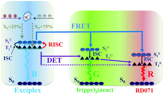 Graphical abstract: Simultaneous high efficiency/CRI/spectral stability and low efficiency roll-off hybrid white organic light-emitting diodes via simple insertion of ultrathin red/green phosphorescent emitters in a blue exciplex